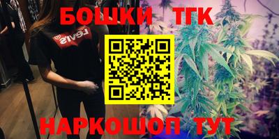 прущие грибы Пугачёв