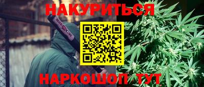 прущие грибы Пугачёв