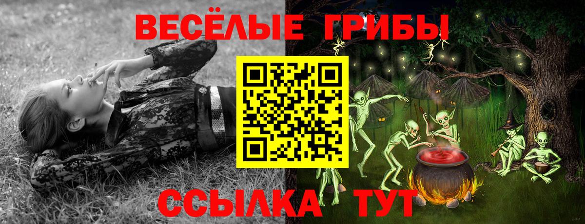 Псилоцибиновые грибы мицелий Елец